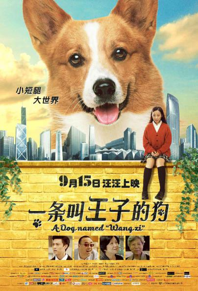 一条叫王子的狗 (A Dog Named “Wang Zi”) 